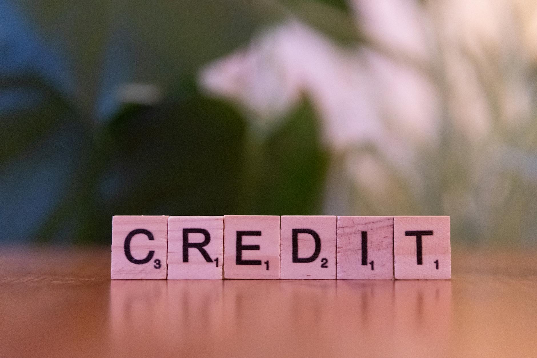Close-up of wooden blocks spelling 'credit' with a blurred leafy background — UPI Study