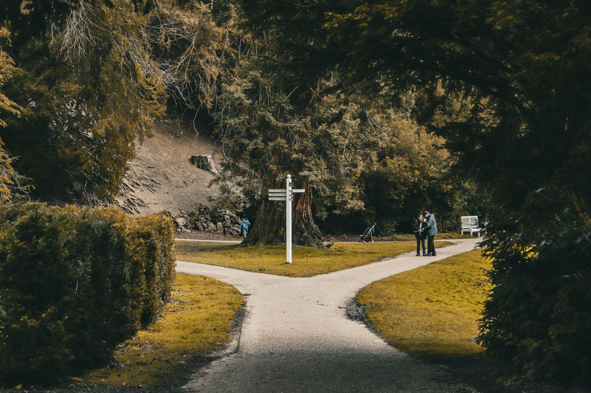 Picturesque park scene with a forked path and signpost, inviting exploration — UPI Study