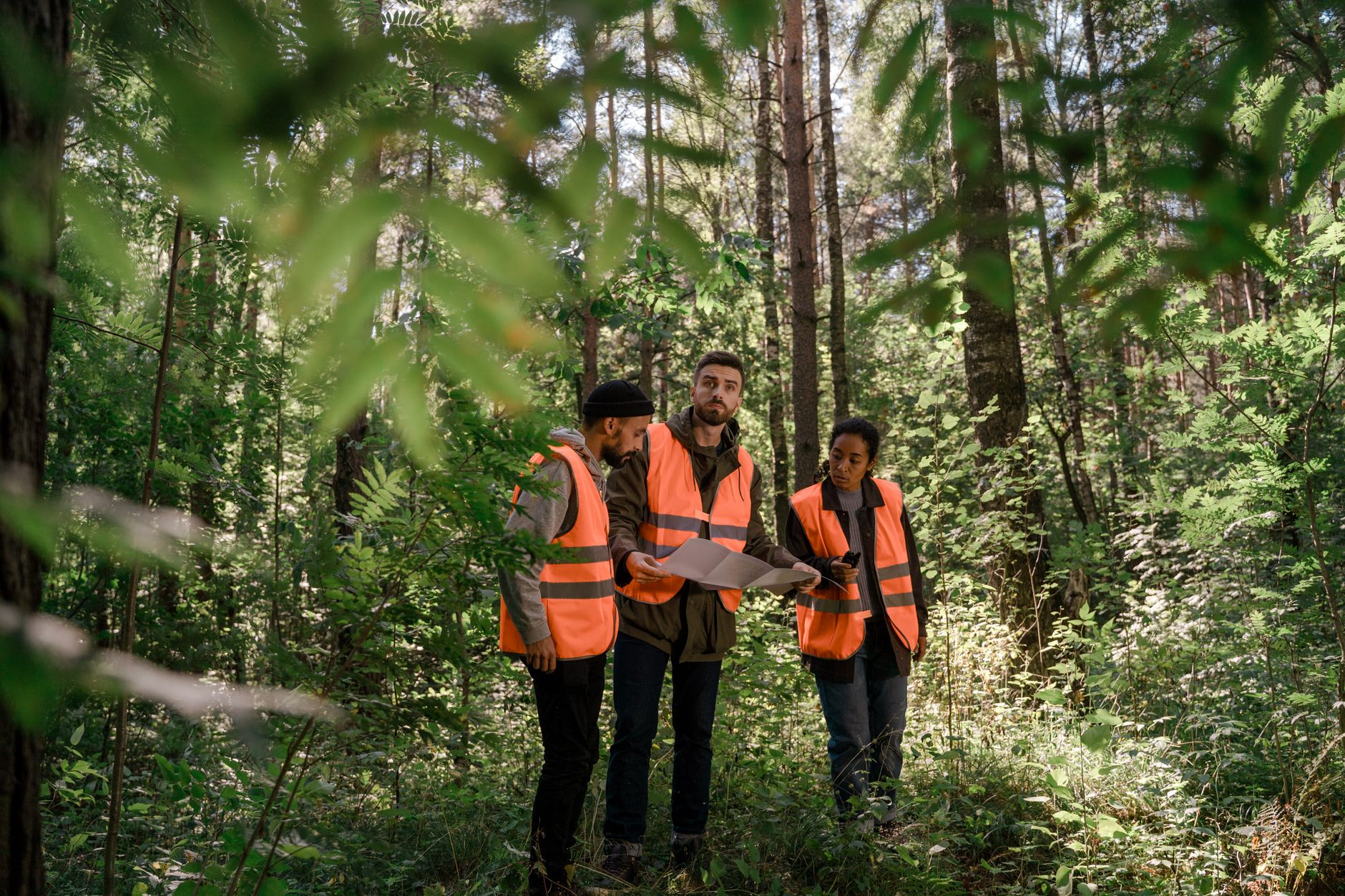 Three adults in safety vests examining a map in a lush forest setting, emphasizing teamwork — UPI Study