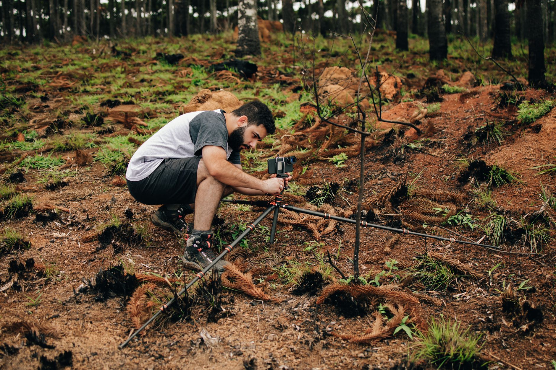 A man setting up equipment in a forest for environmental research — UPI Study