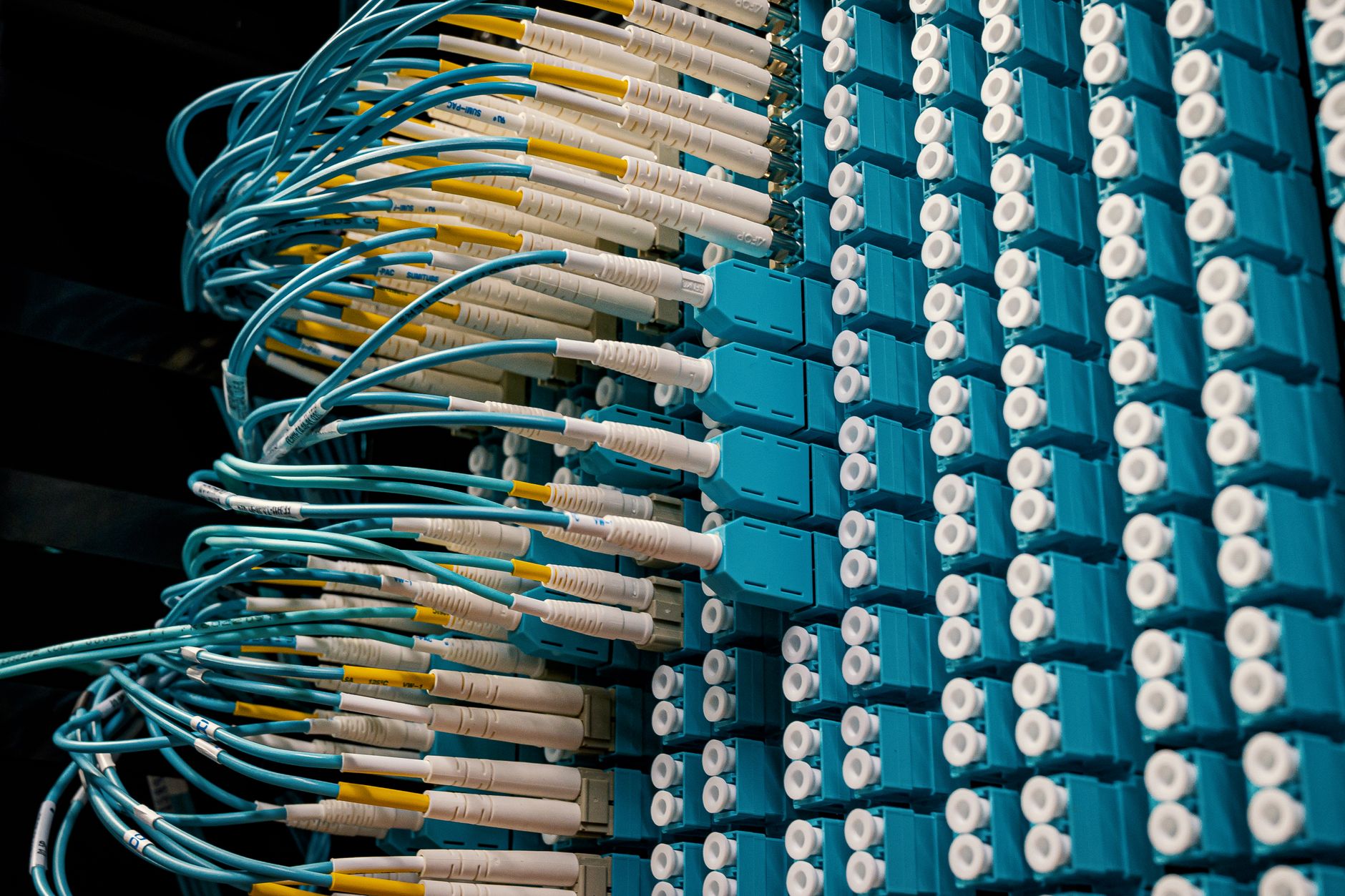 Detailed view of fiber optic patch cables connecting to a blue patch panel in a data center — UPI Study