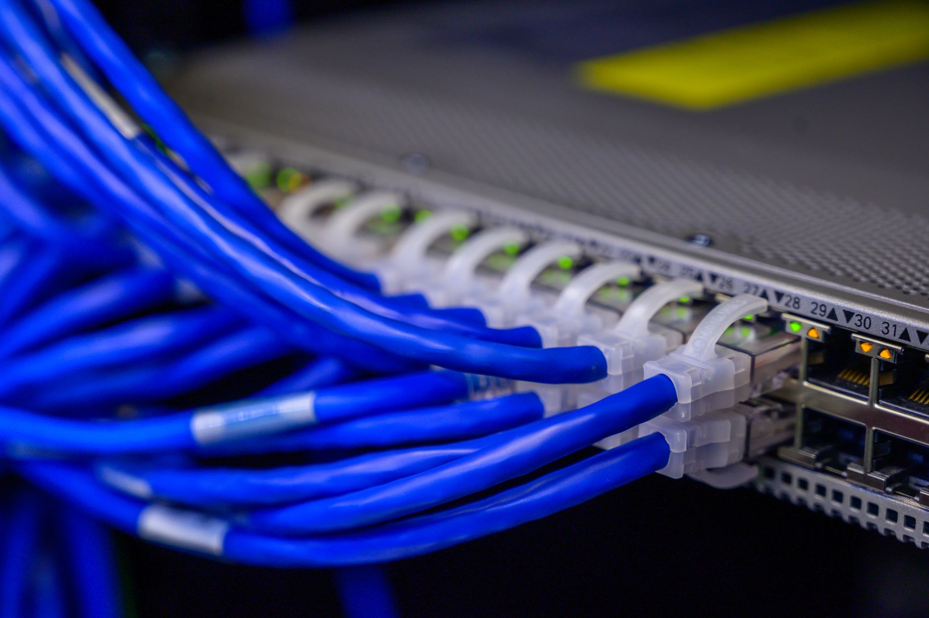 Detailed view of blue ethernet cables connected to a network switch in a data center — UPI Study
