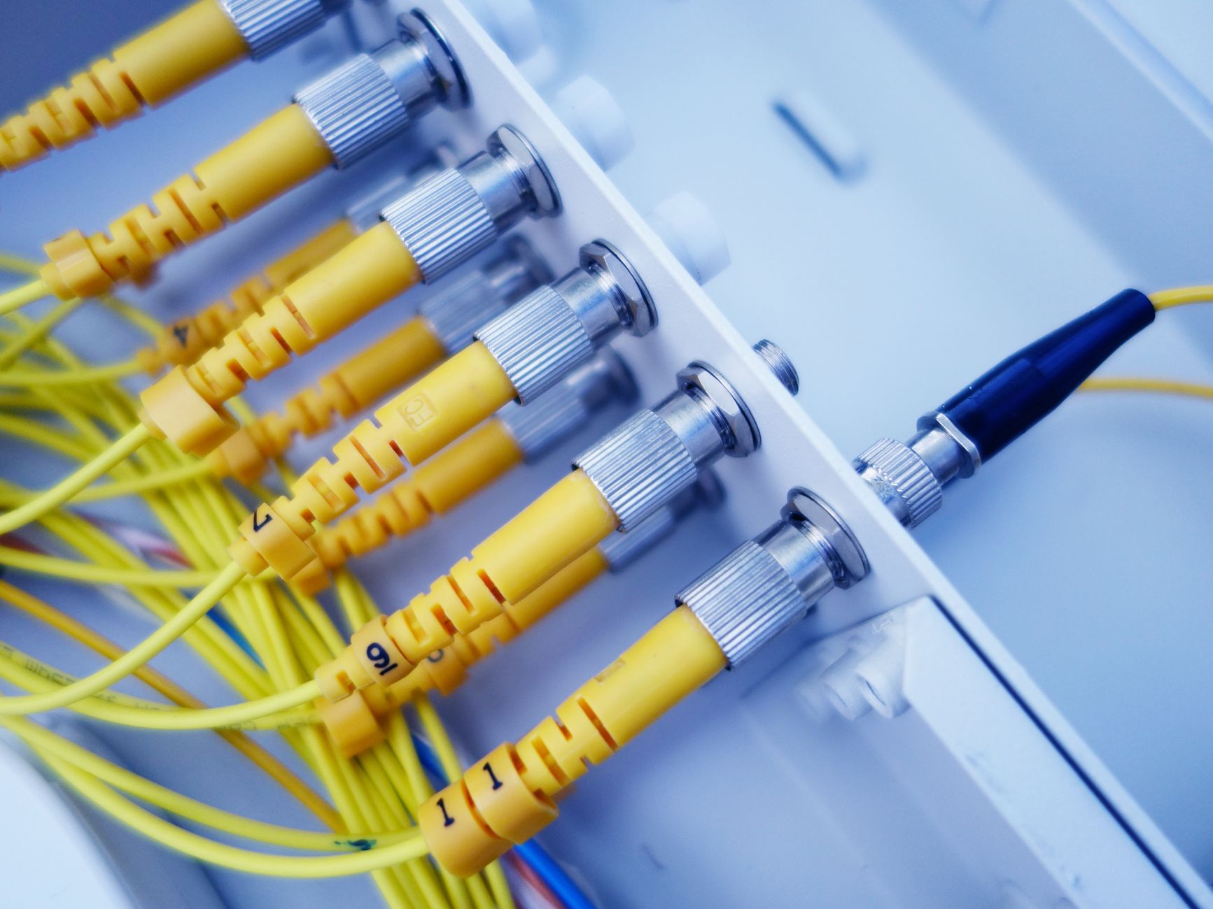 Close-up of yellow fiber optic cables in a network server, showcasing fast data transfer — UPI Study