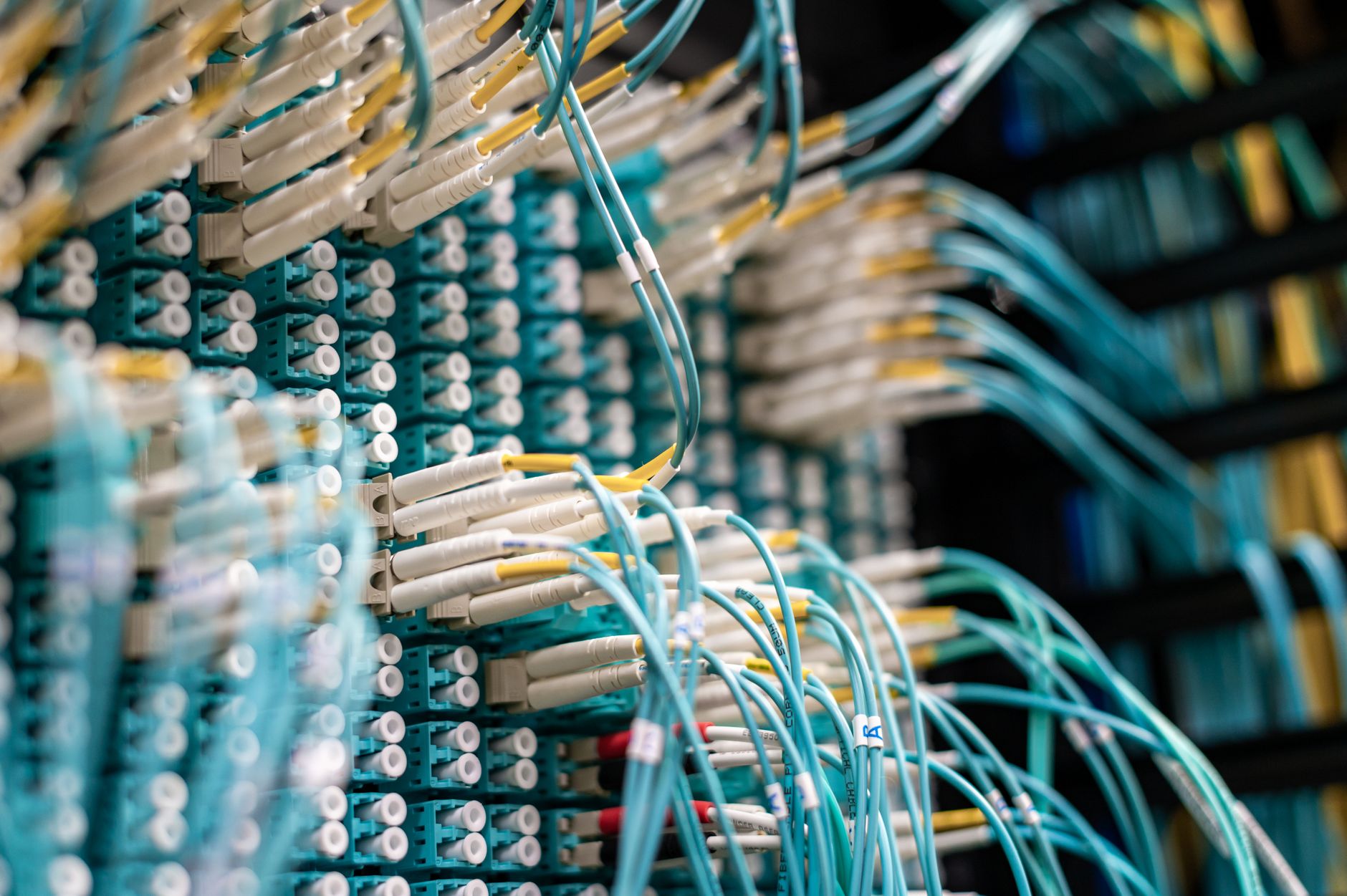 From below of long thin blue cables connected to row of small white connectors on system block in data center — UPI Study
