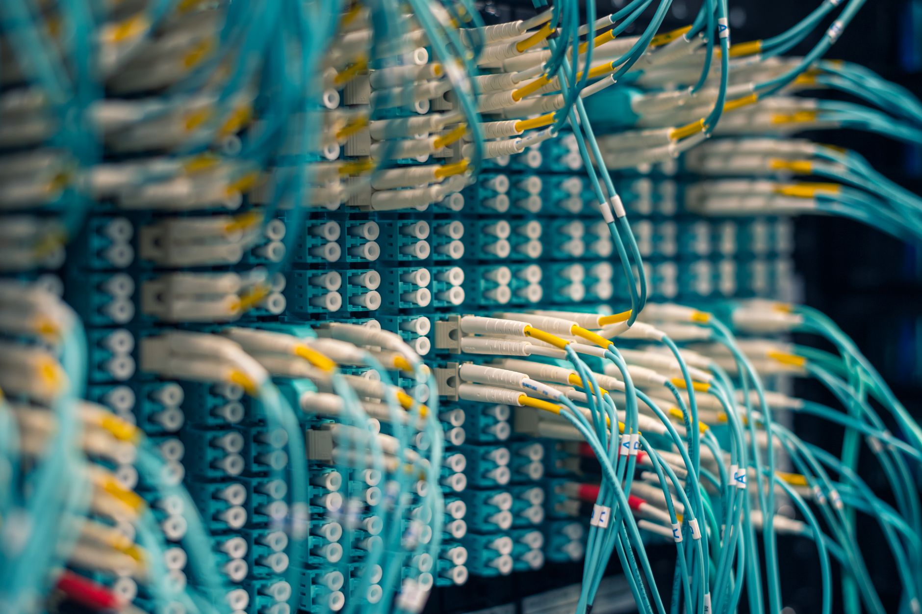 Closeup of rows of tiny round white electrical connectors and long thin blue wires in data center — UPI Study