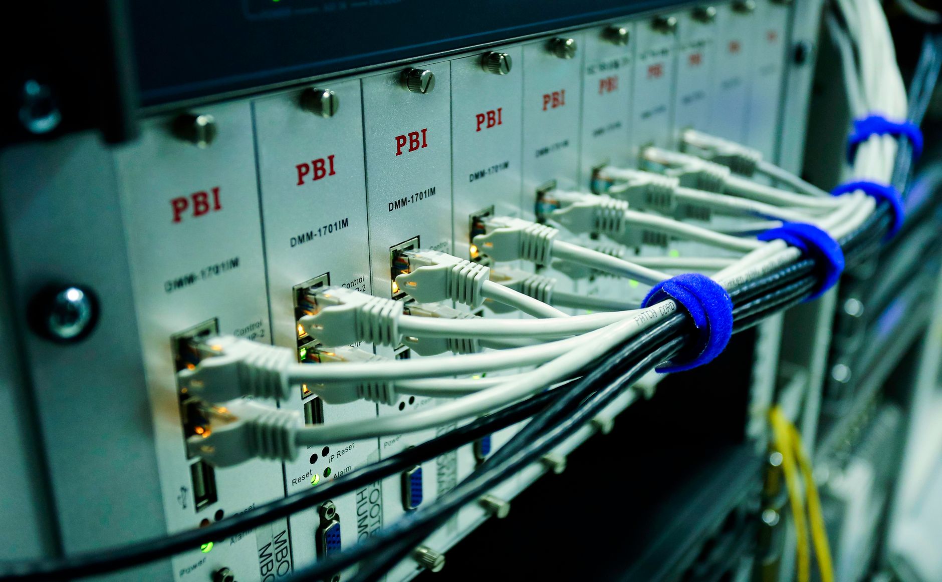 Close-up of ethernet cables connected to a network switch panel in a data center — UPI Study