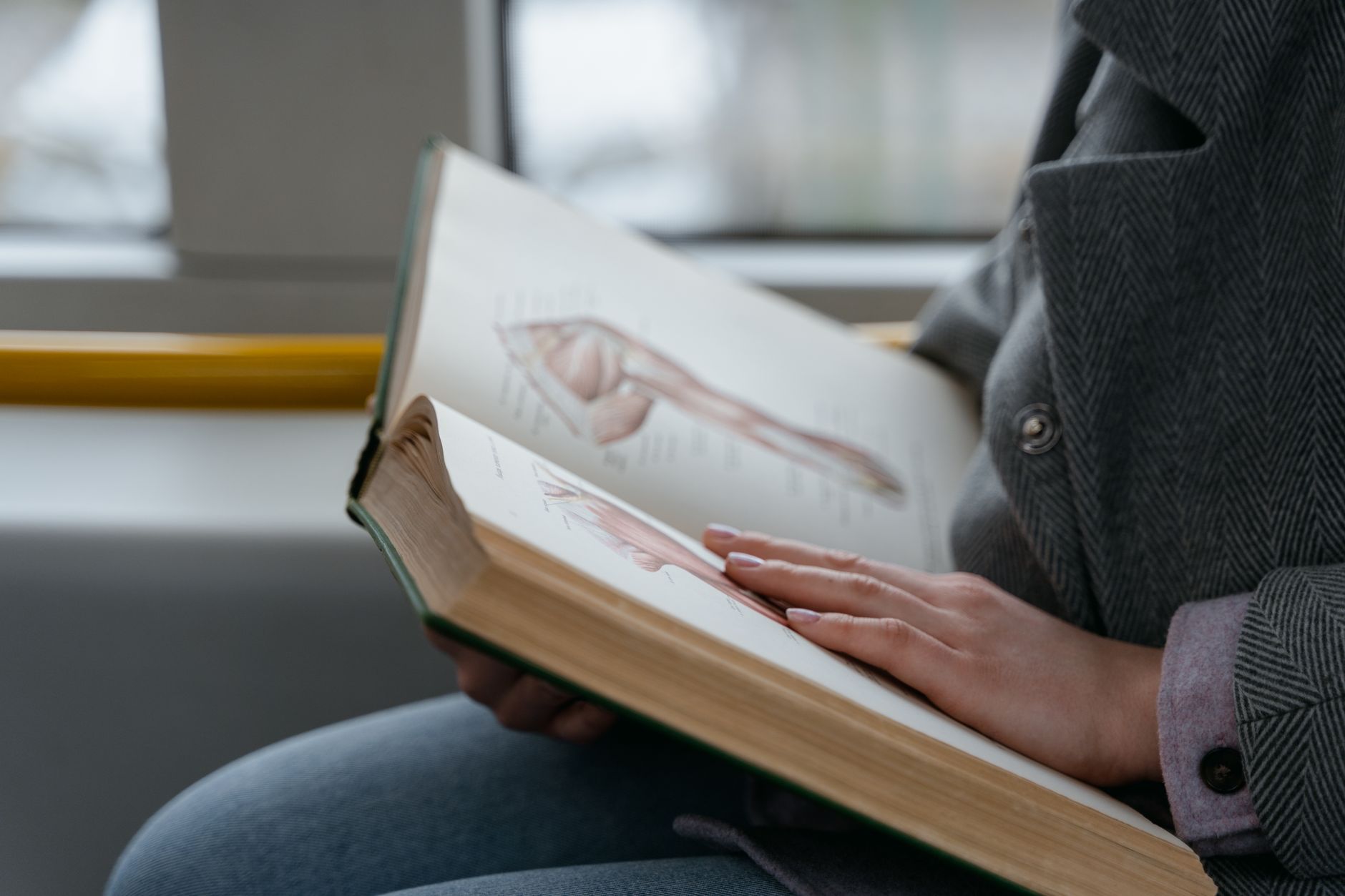 Close-up of hands holding an anatomy book, studying human muscles in a train — UPI Study