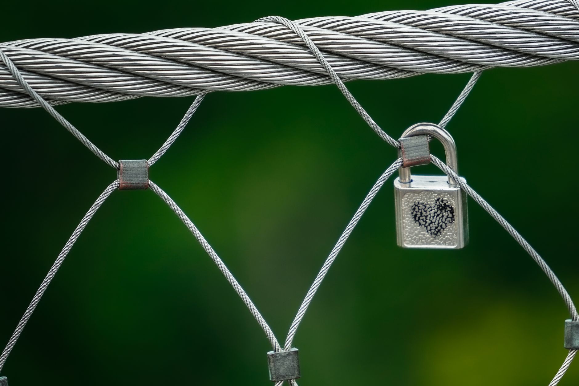A close-up of a heart-engraved padlock on a metal wire fence with a lush green background — UPI Study
