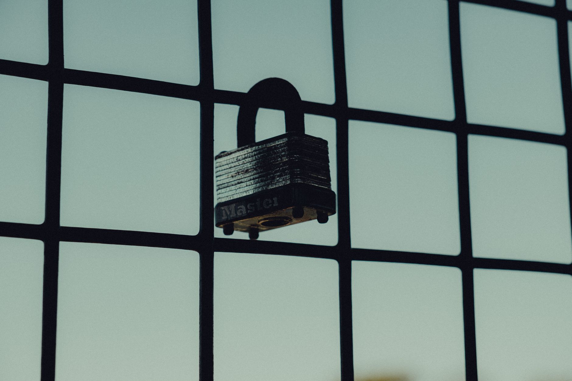 Close-up of a steel padlock on a mesh fence, symbolizing protection and security — UPI Study