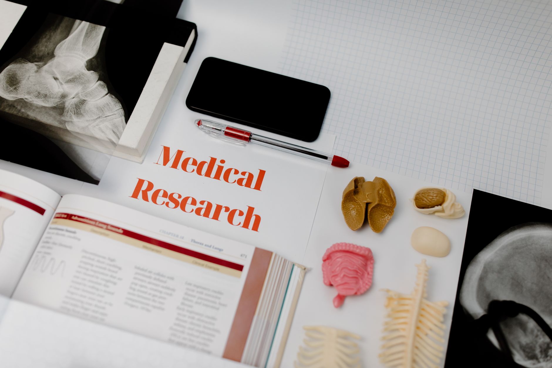 Medical research setup featuring anatomical models, x-rays, and a textbook, ideal for educational purposes — UPI Study
